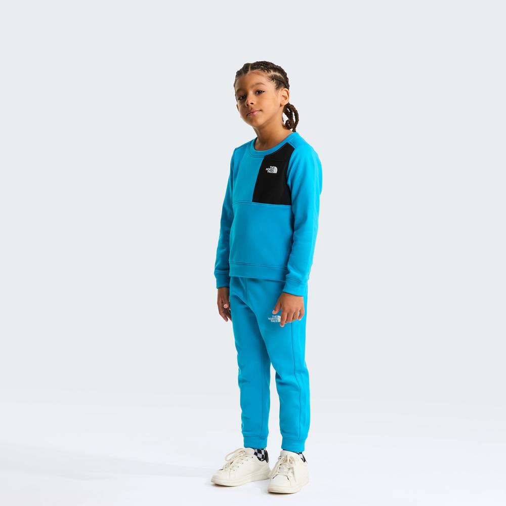 Dres dziecięcy The North Face Performance 0A8CV0D7R1 - niebieski