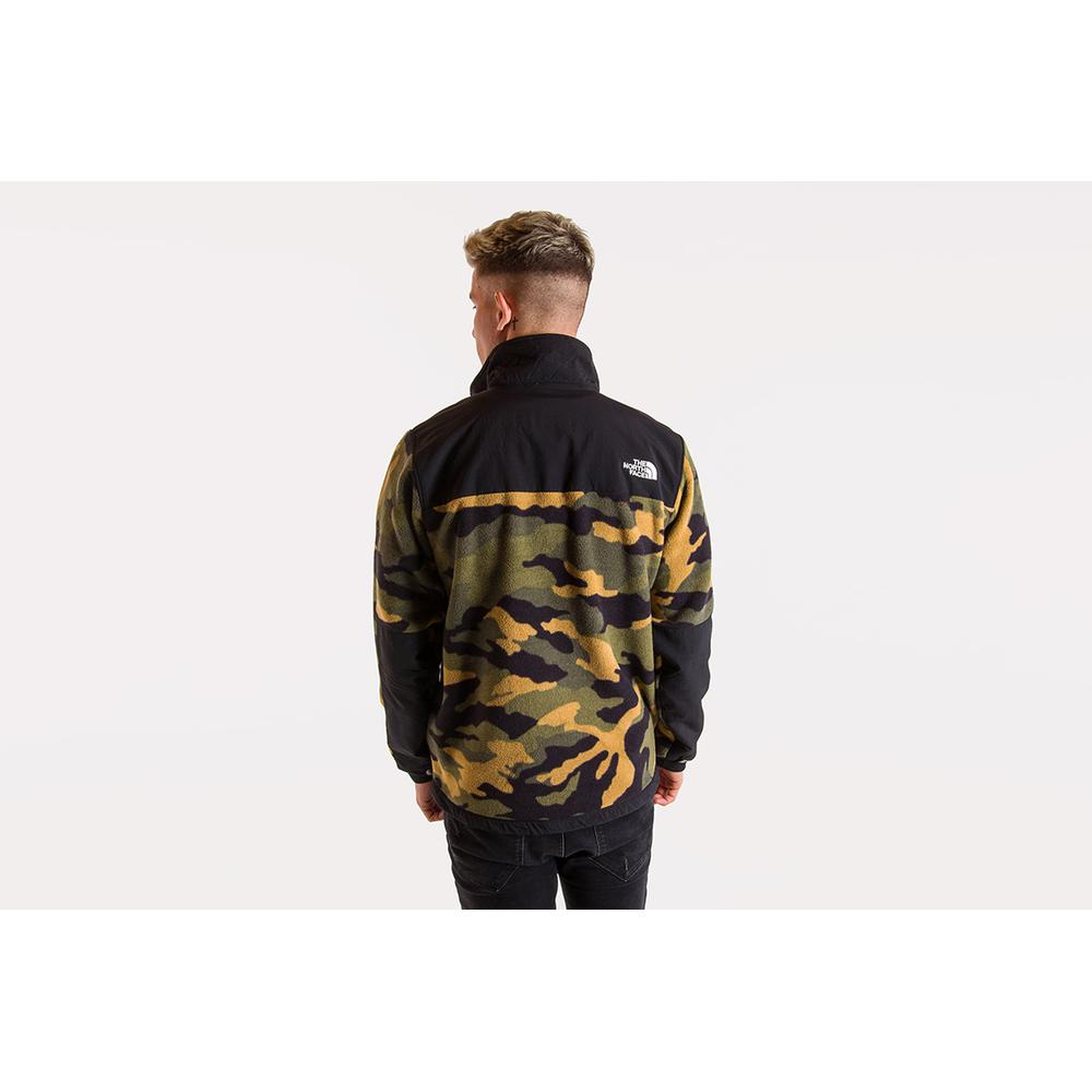 THE NORTH FACE DENALI 2 > T93XAUFQ9