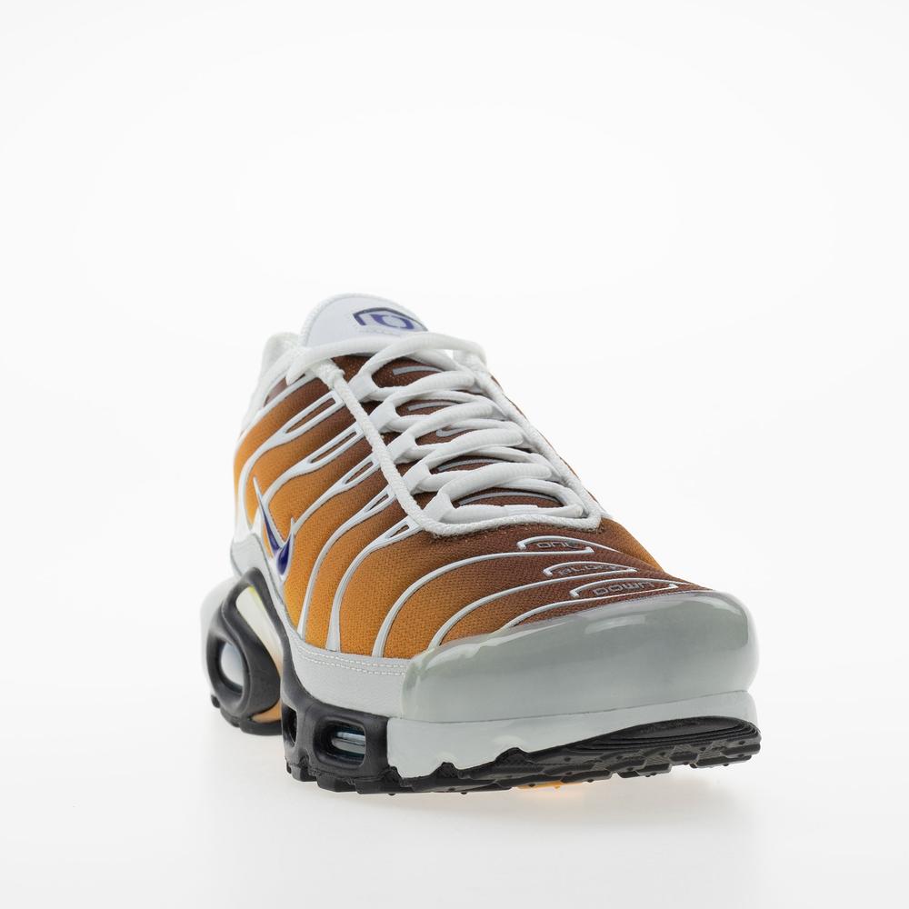 Buty męskie Nike Air Max Plus FZ3308-700 - multikolor