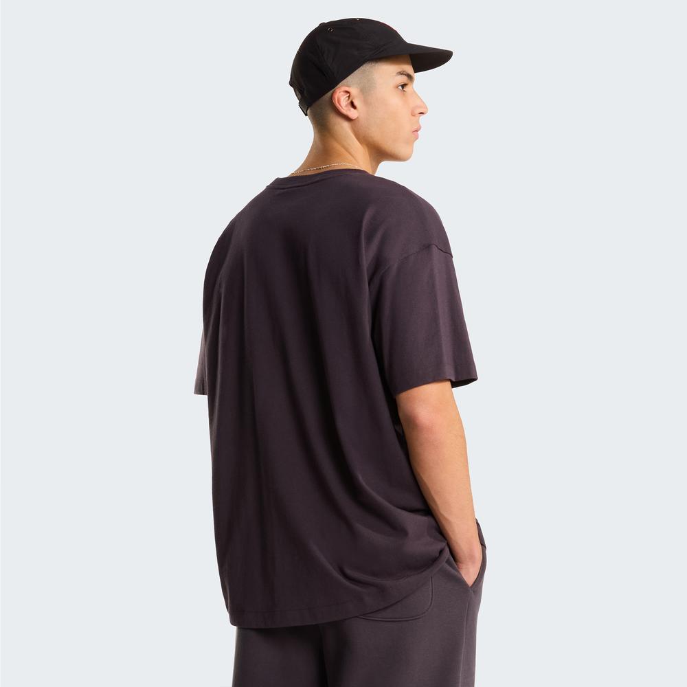 Koszulka męska The North Face Red Box 0A8EG50SA1 - brązowa