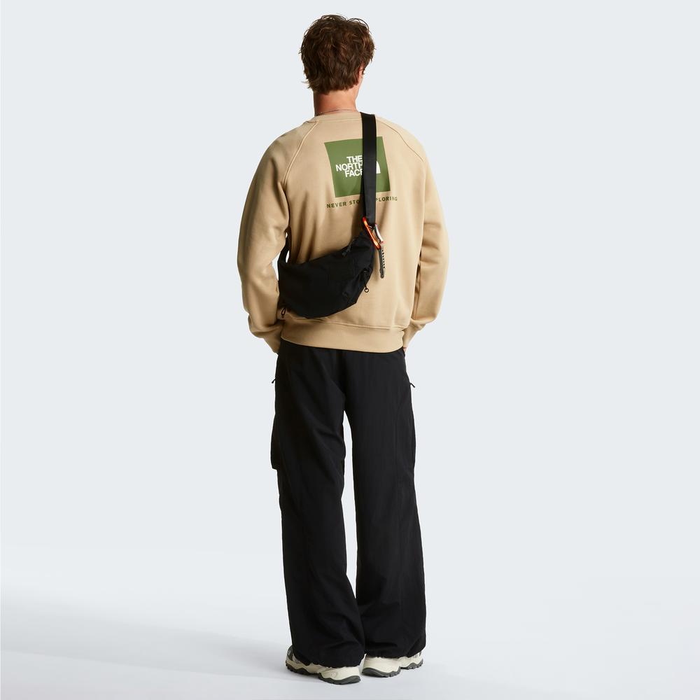 Bluza męska The North Face Raglan Box NS Crew 0A89FALK51 - beżowa