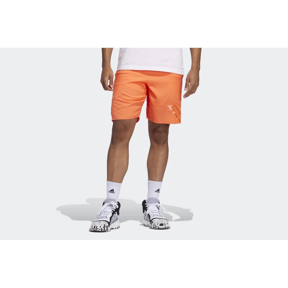 ADIDAS N3XT L3V3L SHORTS > EJ6263