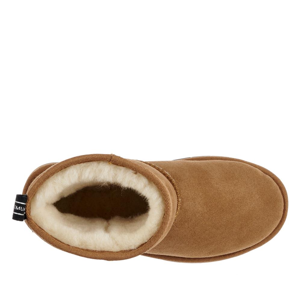 Buty damskie Emu Australia Sharky Mini W12434CHEB - brązowe
