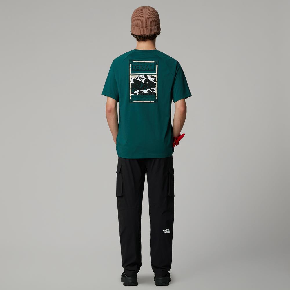 Koszulka męska The North Face North Faces 0A87NU6GI1 - zielona