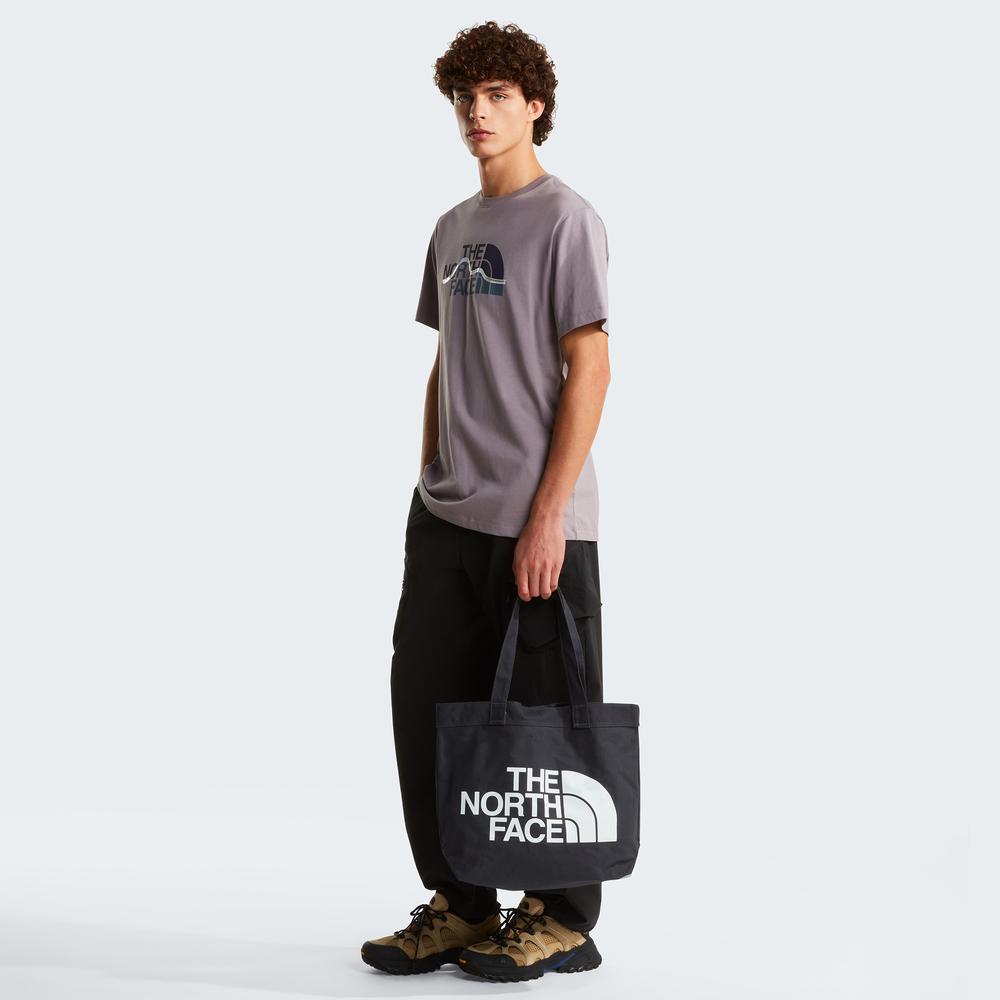 Koszulka męska The North Face Mountain Line 0A8GUXG7O1 - fioletowa