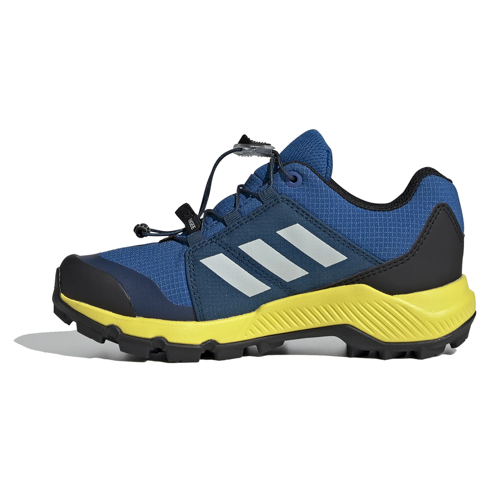 adidas Terrex GTX BC0599