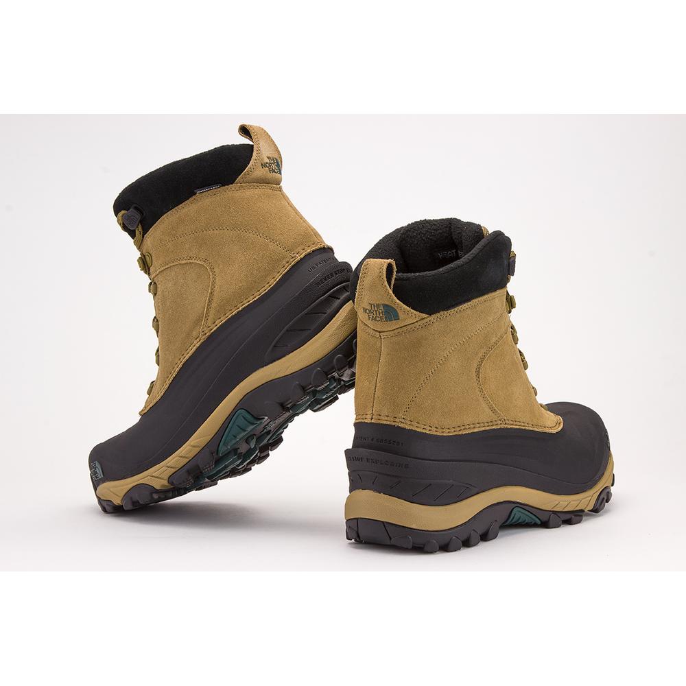 THE NORTH FACE CHILKAT III > 0A39V6E0T