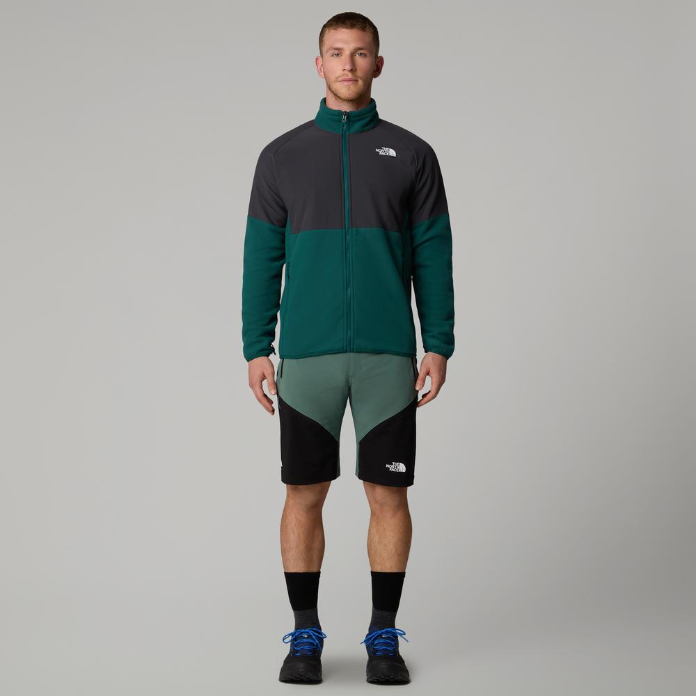 Spodenki męskie The North Face Felik 0A825XLFW1 - zielono-czarne
