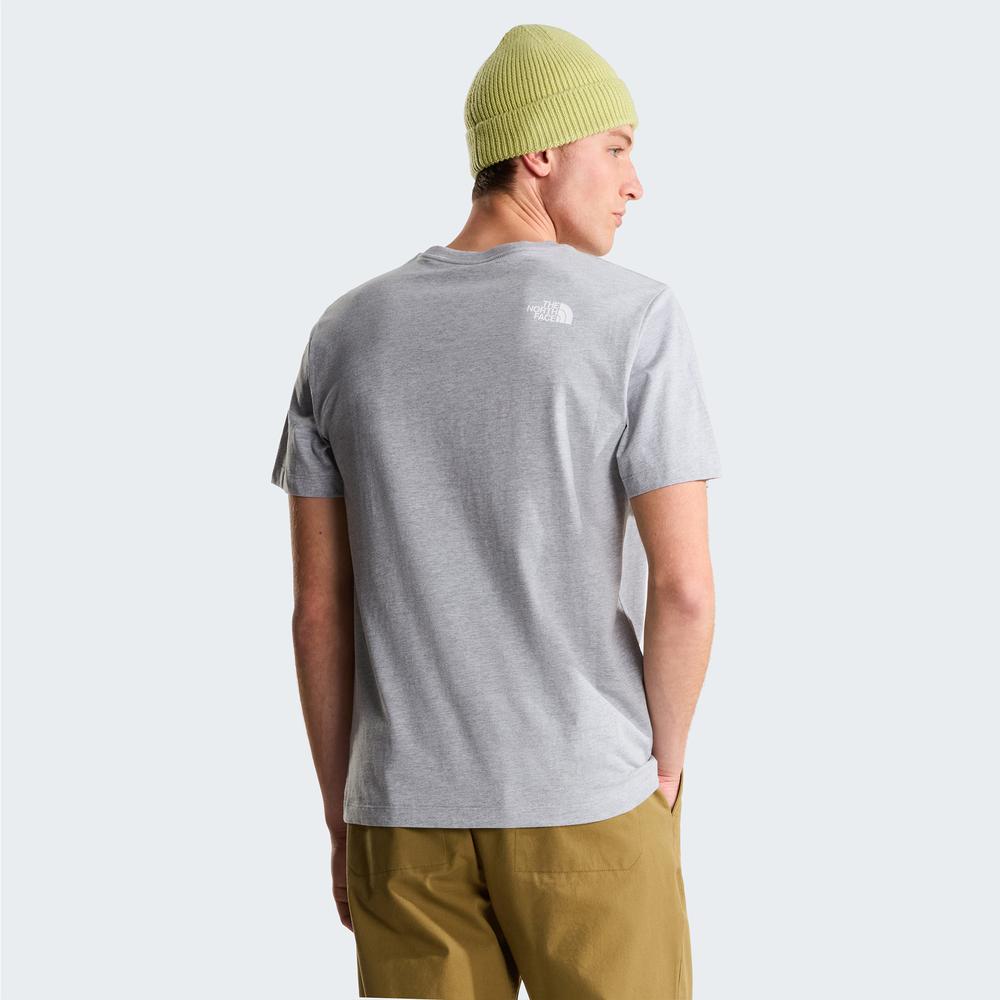 Koszulka męska The North Face Evolution Half Dome 0A8B6JCU71 - szara