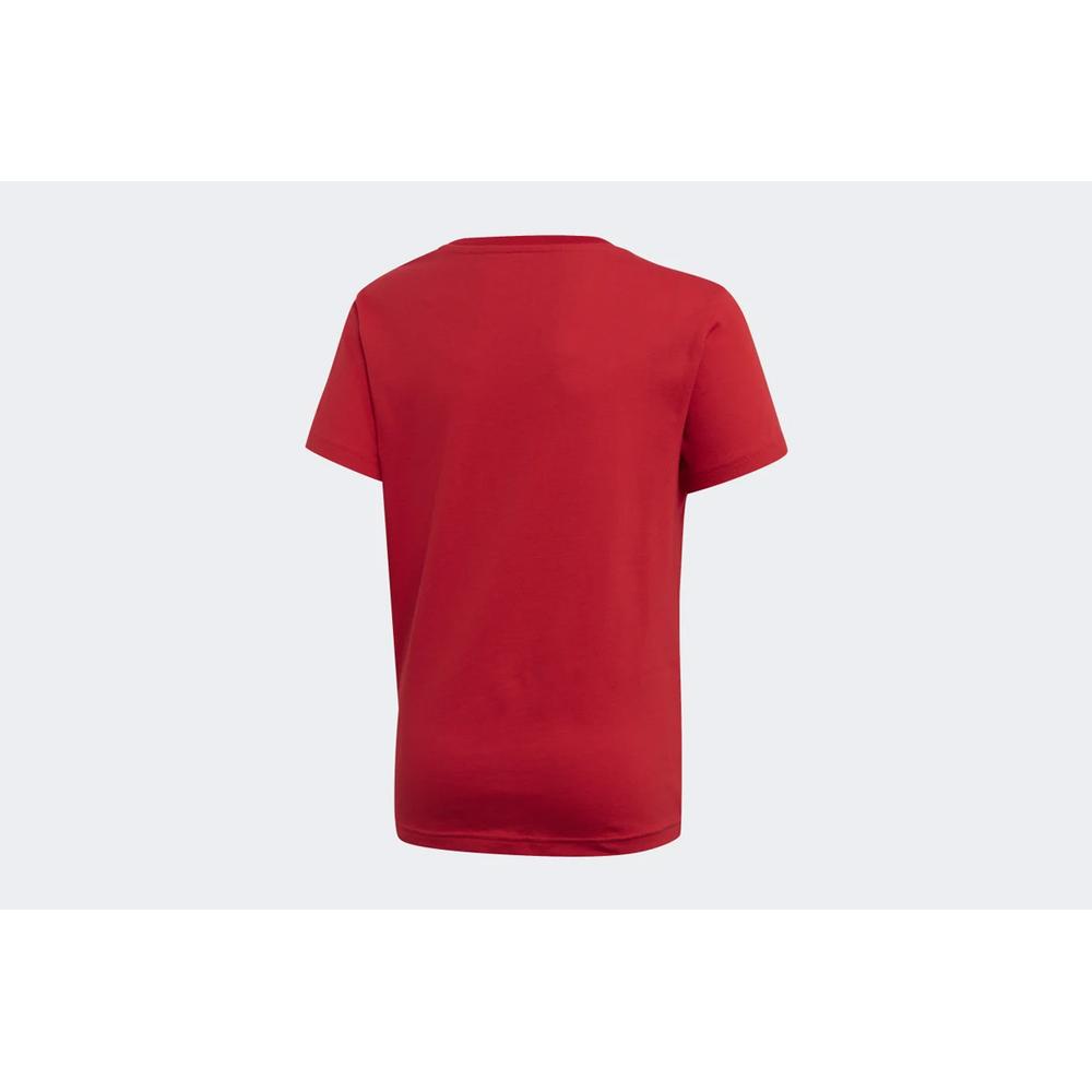 ADIDAS TREFOIL TEE > ED7795