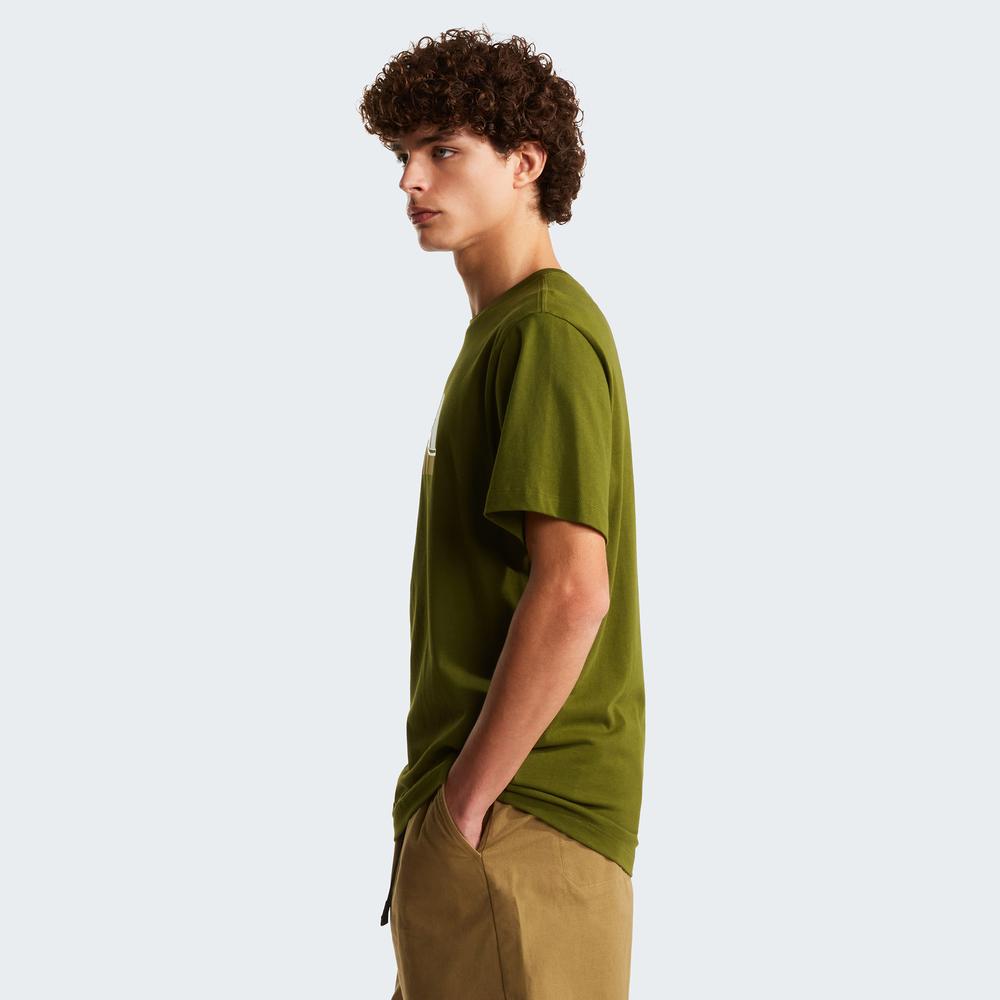 Koszulka męska The North Face Mountain Line 0A8GUXBRI1 - zielona