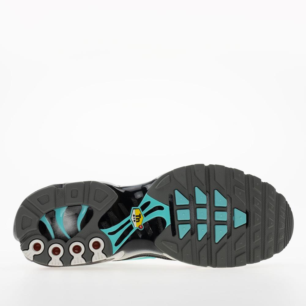 Buty męskie Nike Air Max Plus HV6225-100 - białe