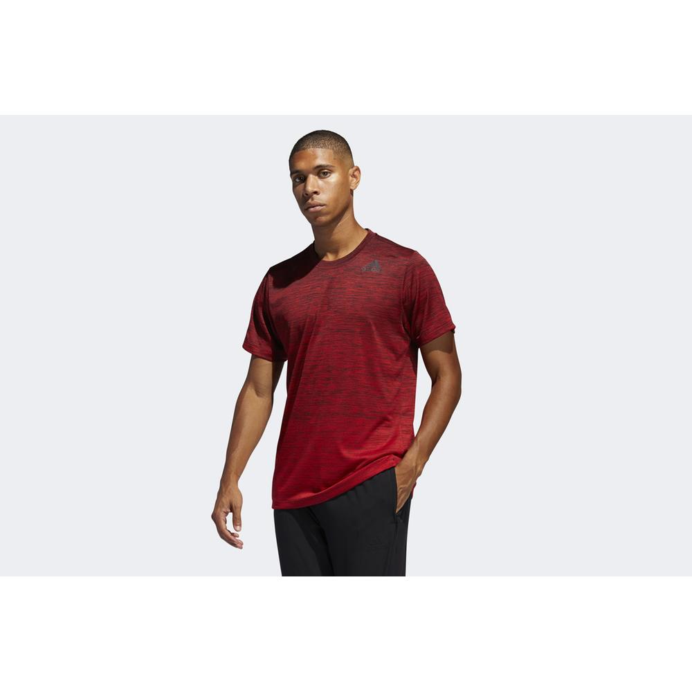 ADIDAS TECH GRADIENT T-SHIRT > FL4395