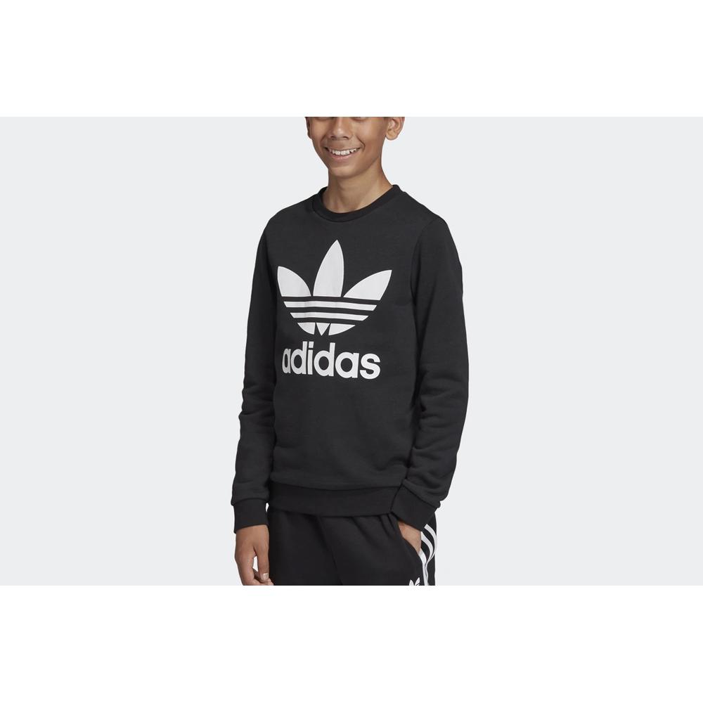 ADIDAS TREFOIL CREW > ED7797