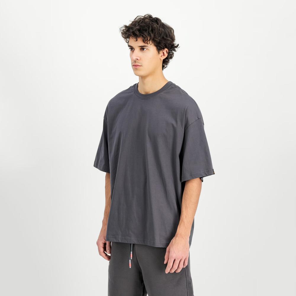 Koszulka męska Alpha Industries Studio Edition 156550684 - szara