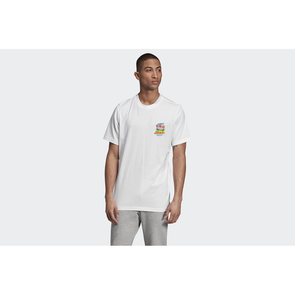 ADIDAS BODEGA POPSICLE TEE > ED7062