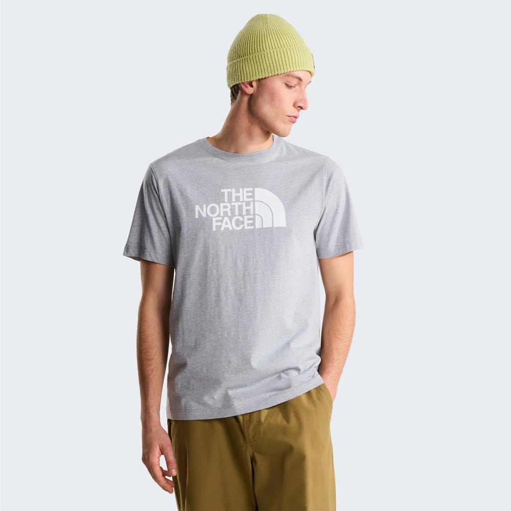 Koszulka męska The North Face Evolution Half Dome 0A8B6JCU71 - szara
