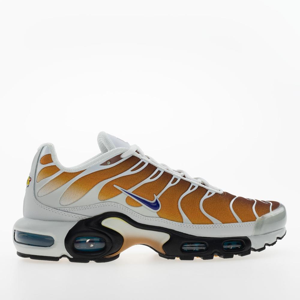 Buty męskie Nike Air Max Plus FZ3308-700 - multikolor