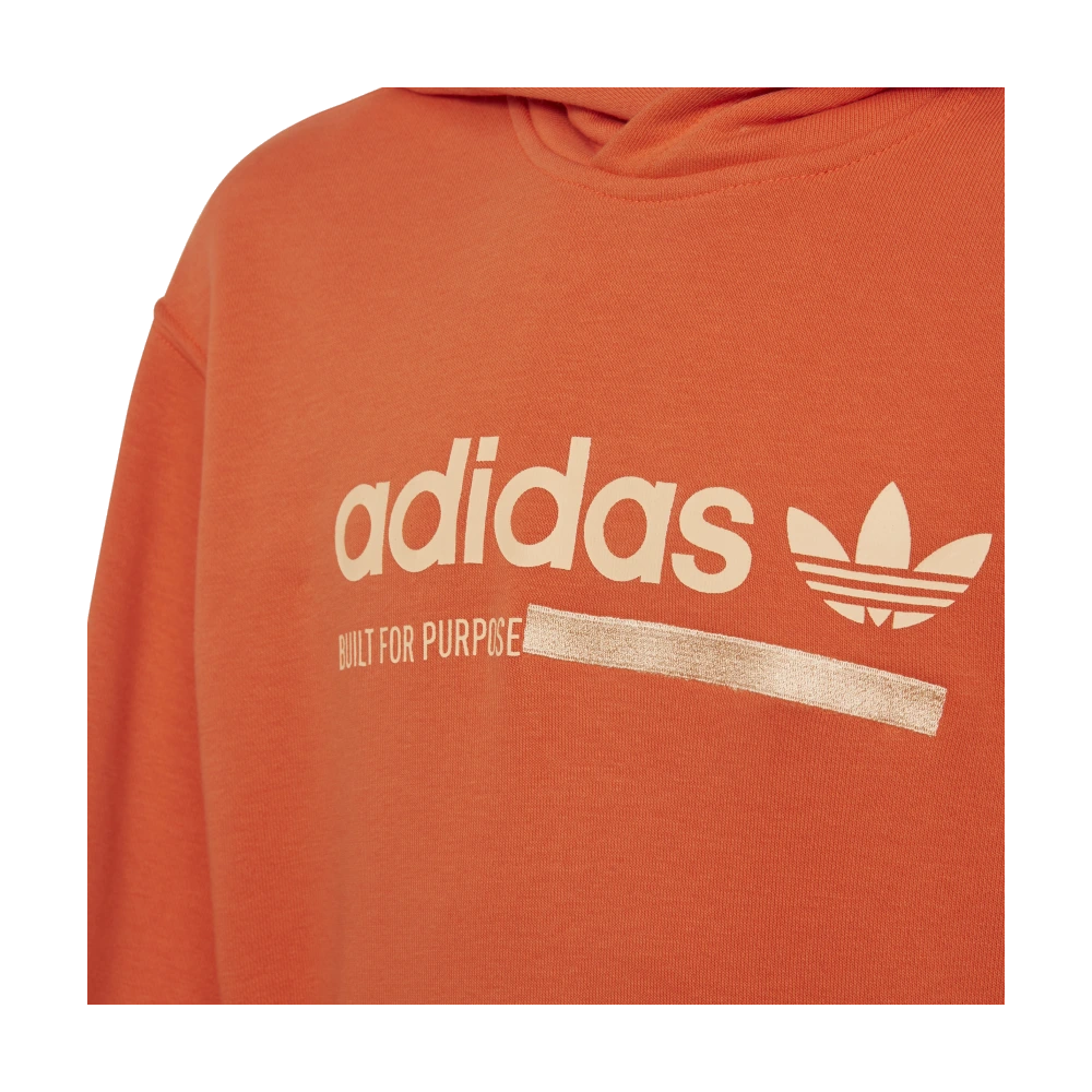 Bluza adidas Originals Kaval Graphic DZ1109