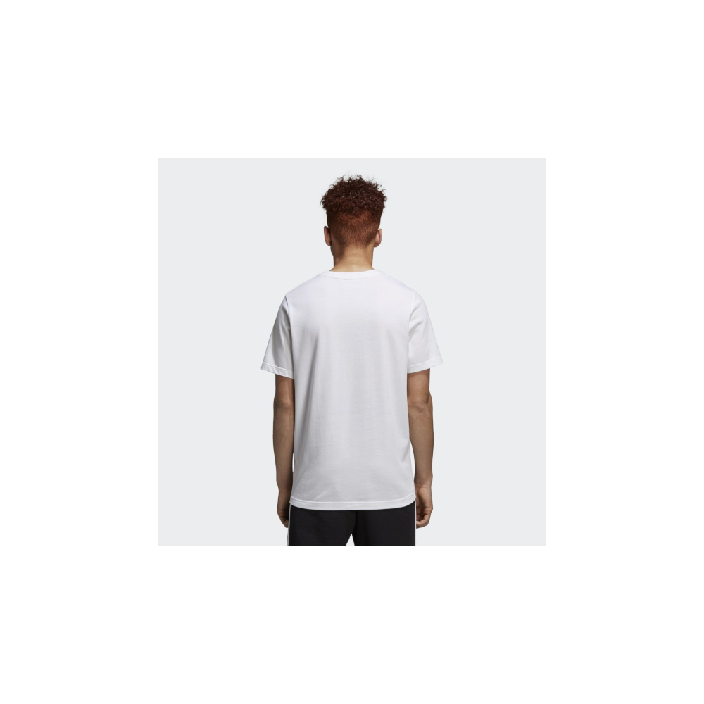 Koszulka adidas Originals Standard - CW0712