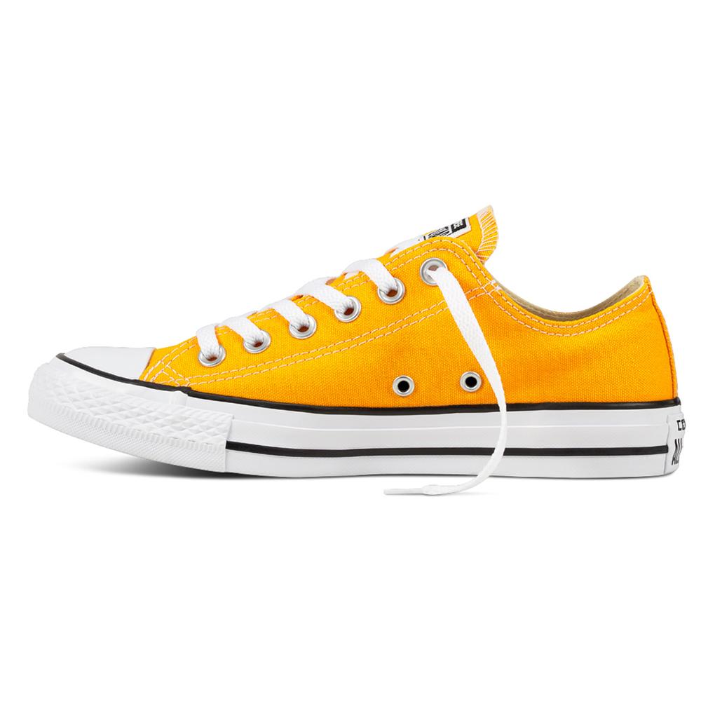 Converse Chuck Taylor All Star Seasonal Color Low Top 159676C