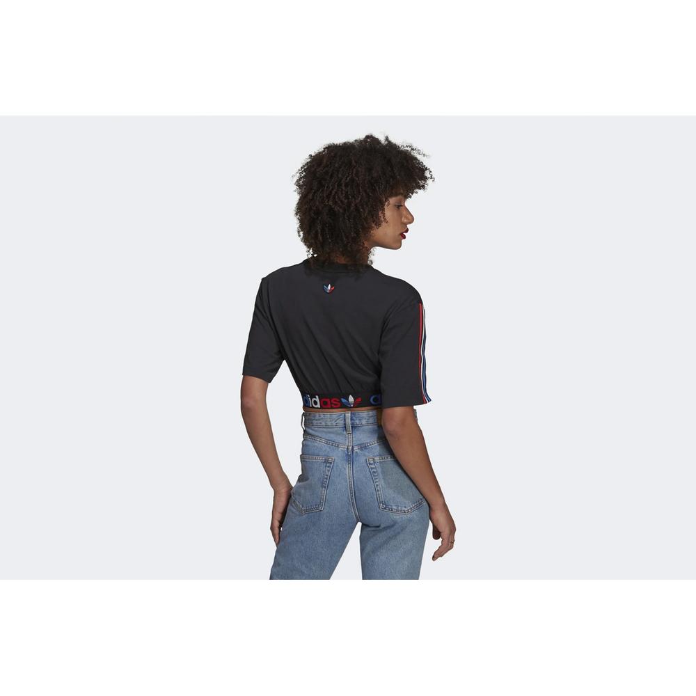 adidas Originals Adicolor Primeblue Tricolor Cropped Tee > GN2932