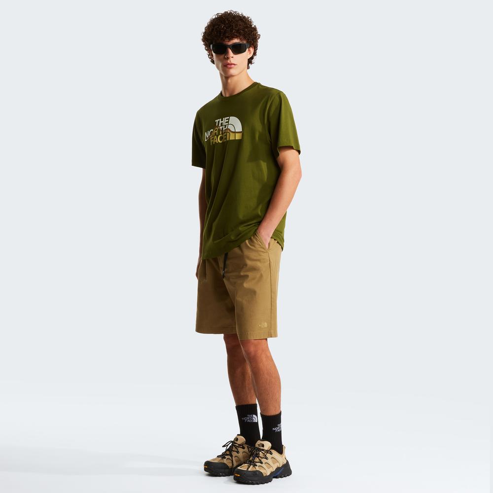 Koszulka męska The North Face Mountain Line 0A8GUXBRI1 - zielona