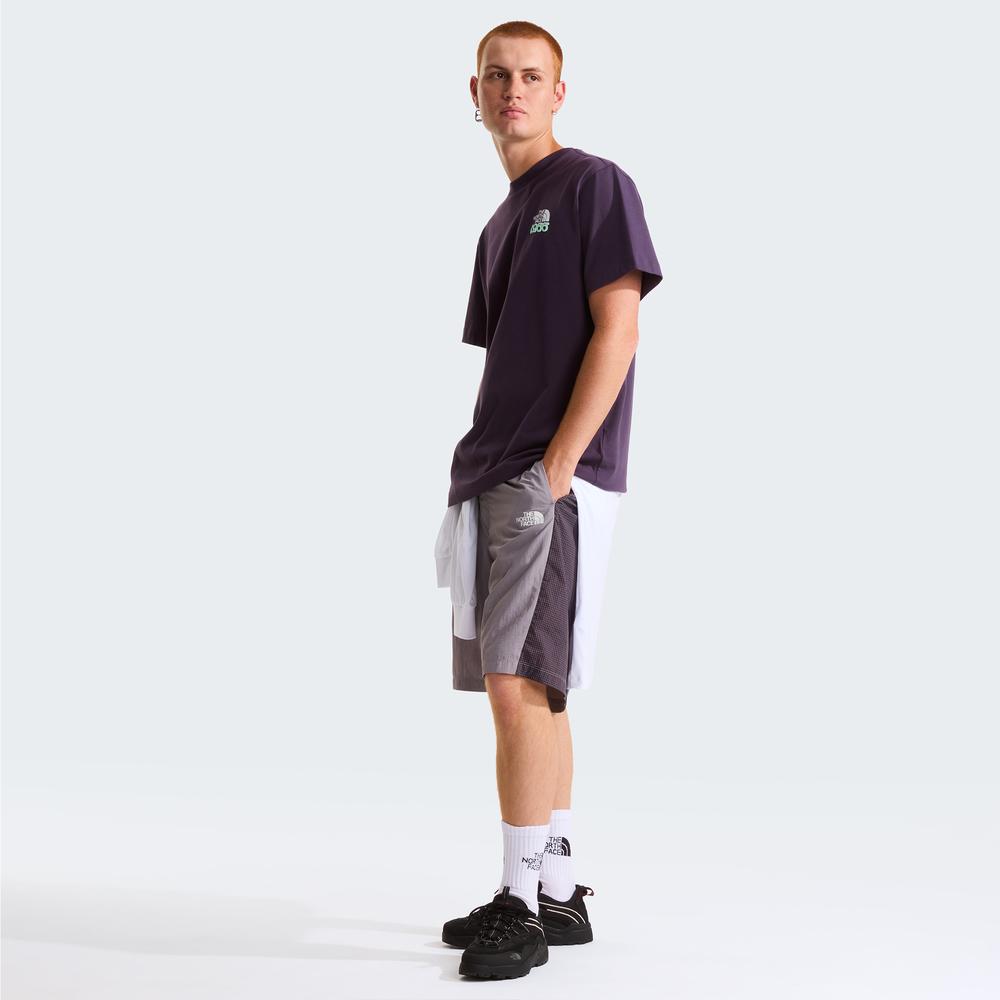 Koszulka męska The North Face 1966 0A8GQUG5O1 - fioletowa