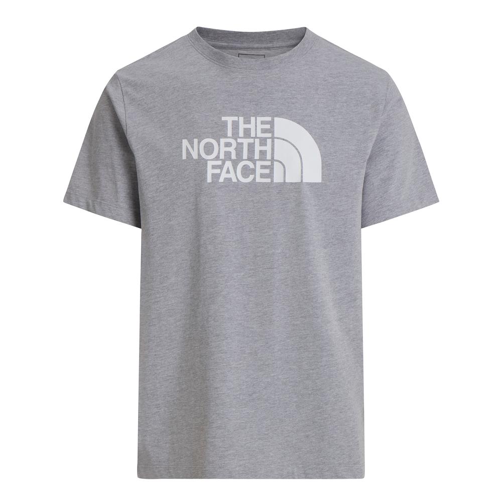 Koszulka męska The North Face Evolution Half Dome 0A8B6JCU71 - szara