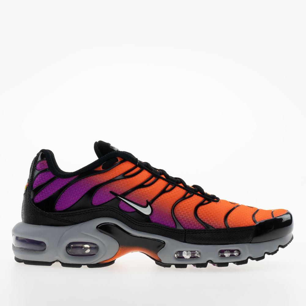 Buty męskie Nike Air Max Plus DM0032-014 - multikolor