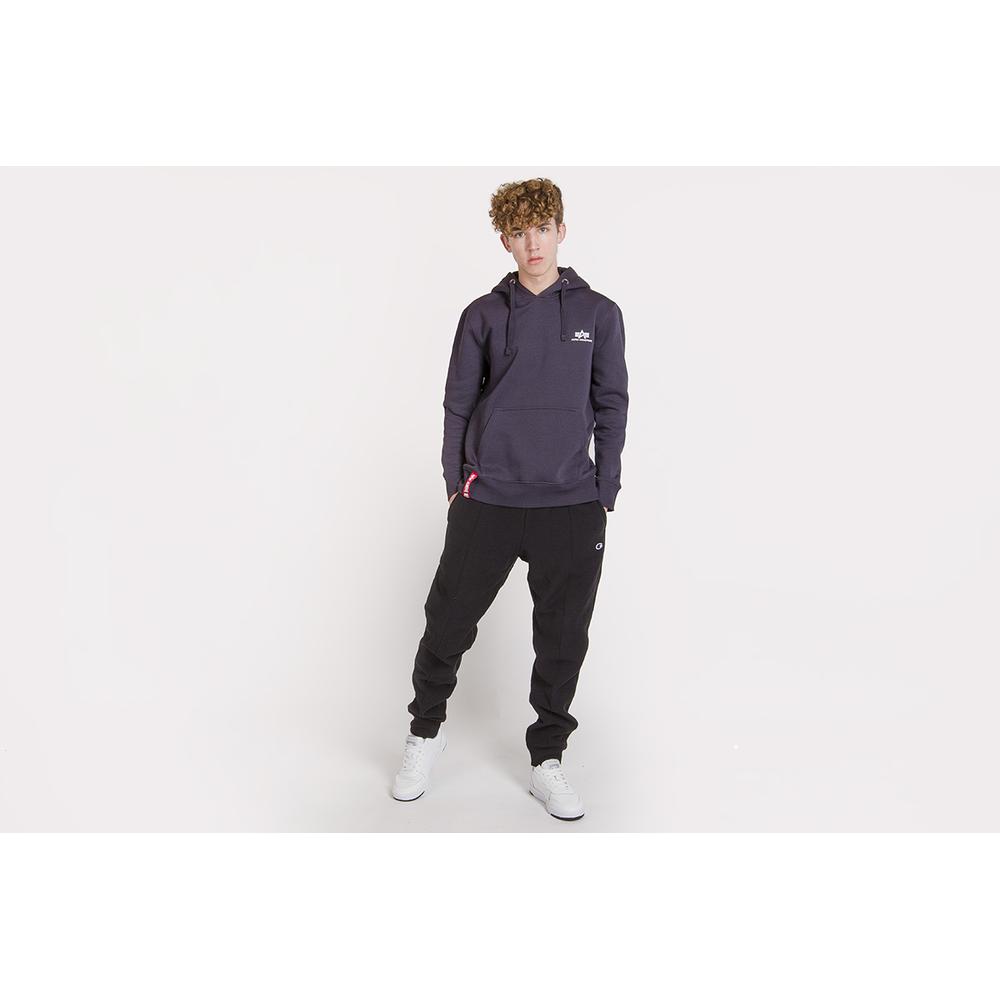 ALPHA INDUSTRIES BASIC HOODY SMALL LOGO > 196318466