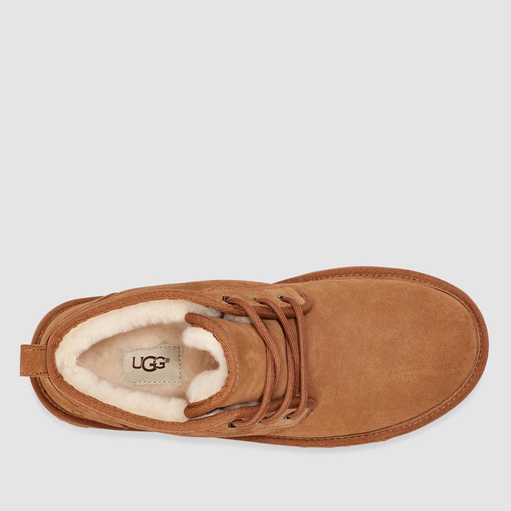Buty męskie UGG Neumel 3236-CHE - brązowe