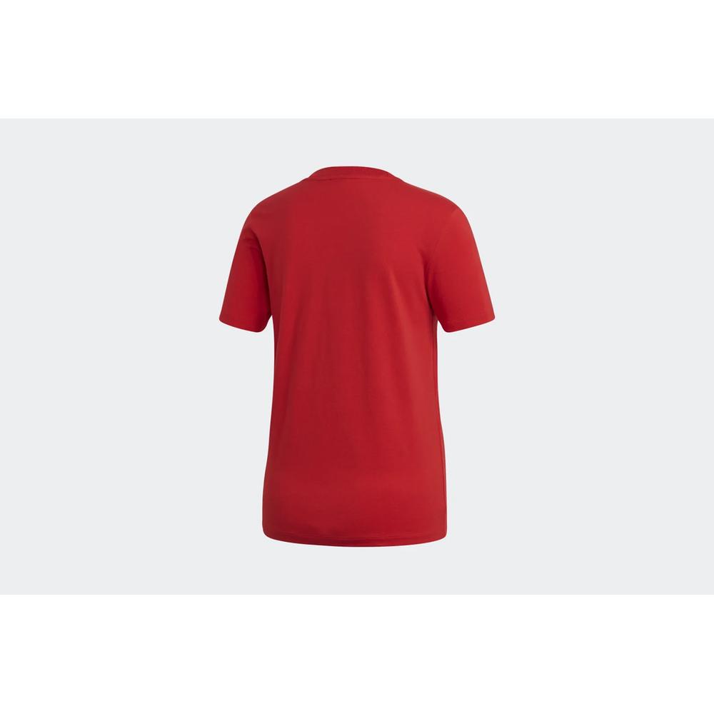 ADIDAS TREFOIL TEE > FM3302