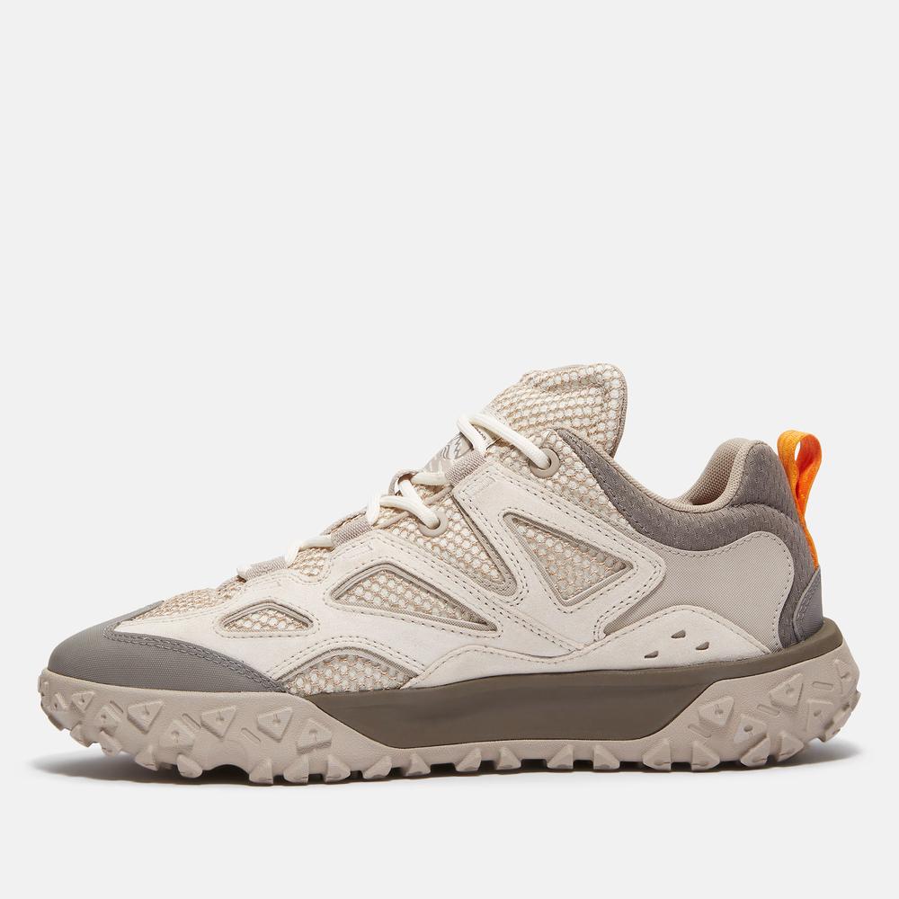 Buty męskie Timberland Greenstride Motion 6 Low 0A6DU2EW21 - szare