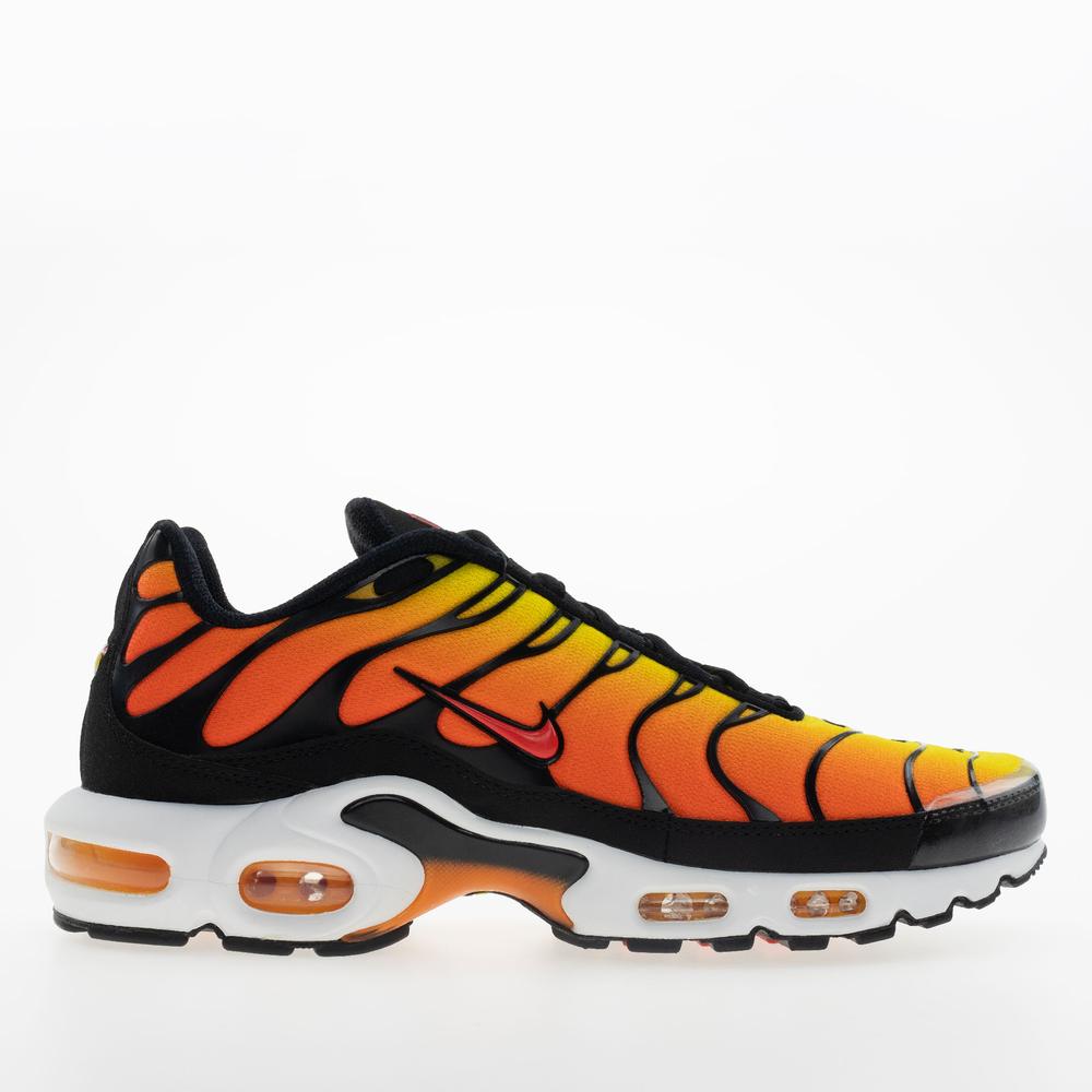 Buty męskie Nike Air Max Plus HF0552-001 - multikolor