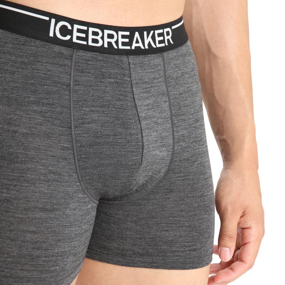 Bokserki Icebreaker Anatomica Boxers 1030290111 - szare