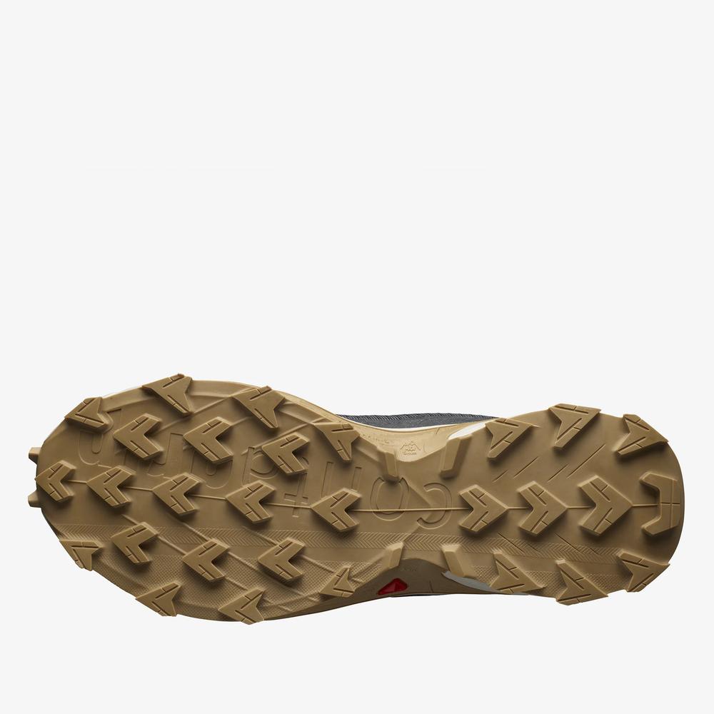 Buty Salomon Alphacross 4 L41724100 - szare