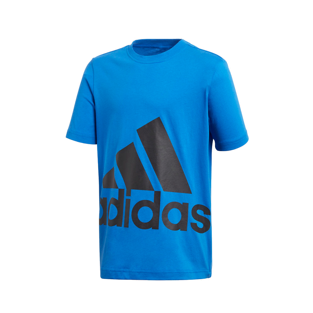 Koszulka adidas Essentials Big Logo DJ1756