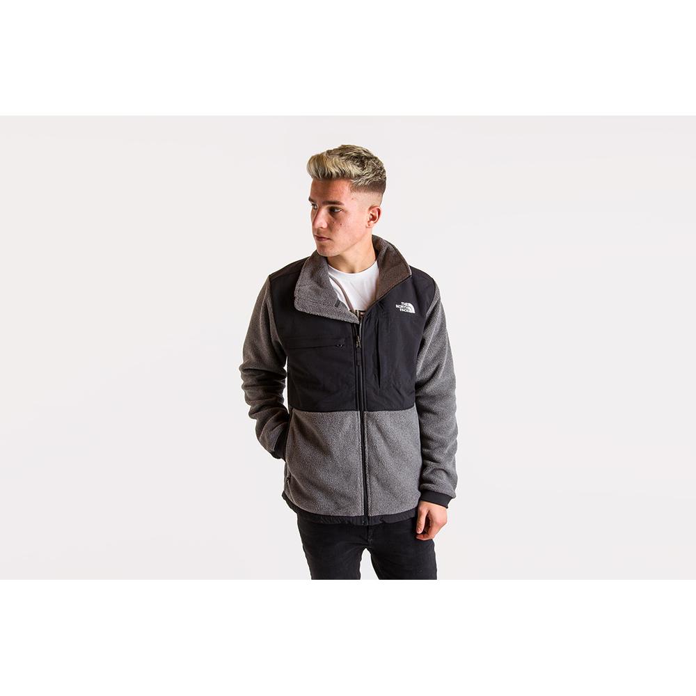 THE NORTH FACE DENALI 2 > T93XAU62X