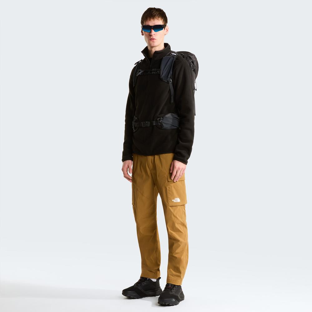 Spodnie męskie The North Face Cargo Exploration 0A8EC61731 - brązowe