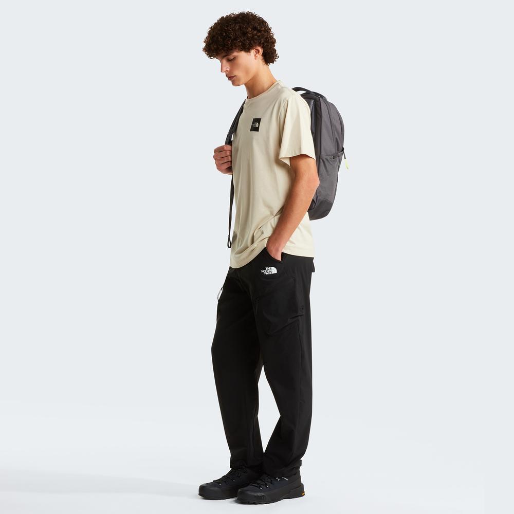 Koszulka męska The North Face Evolution Box Half Dome 0A8G9CDOM1 - beżowa