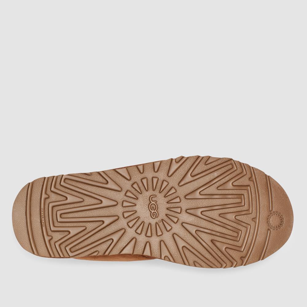 Buty męskie UGG Neumel 3236-CHE - brązowe