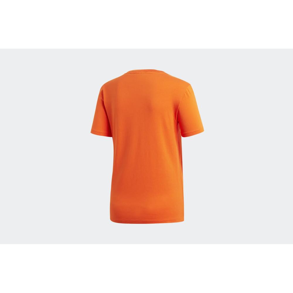 ADIDAS TREFOIL TEE > ED7494