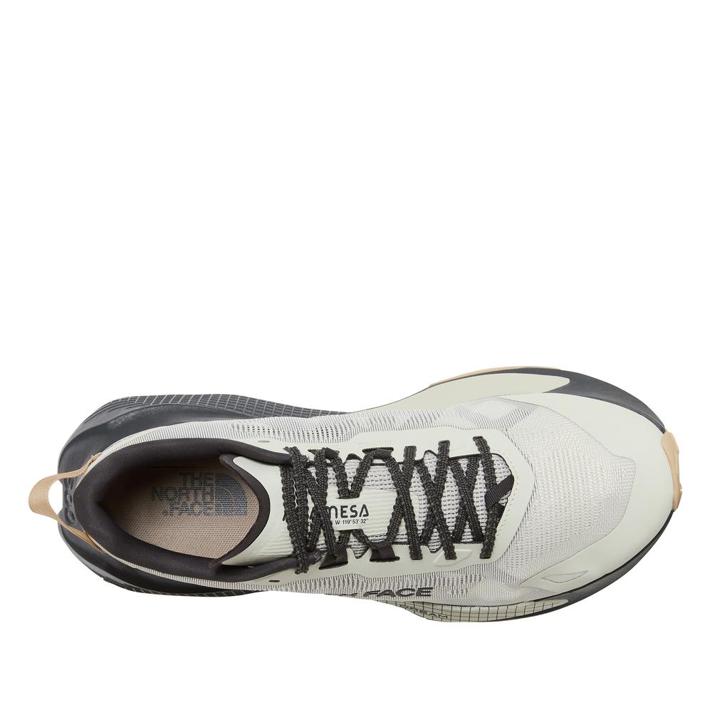 Buty męskie The North Face Altamesa 500 V2 0A8DAJTFL1 - szare