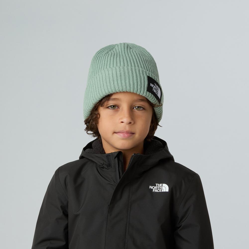 Czapka dziecięca The North Face Beanie Salty 0A8CGSBQ11 - zielona