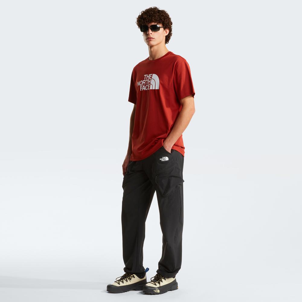 Koszulka męska The North Face Evolution Half Dome 0A8B6JG6I1 - czerwona
