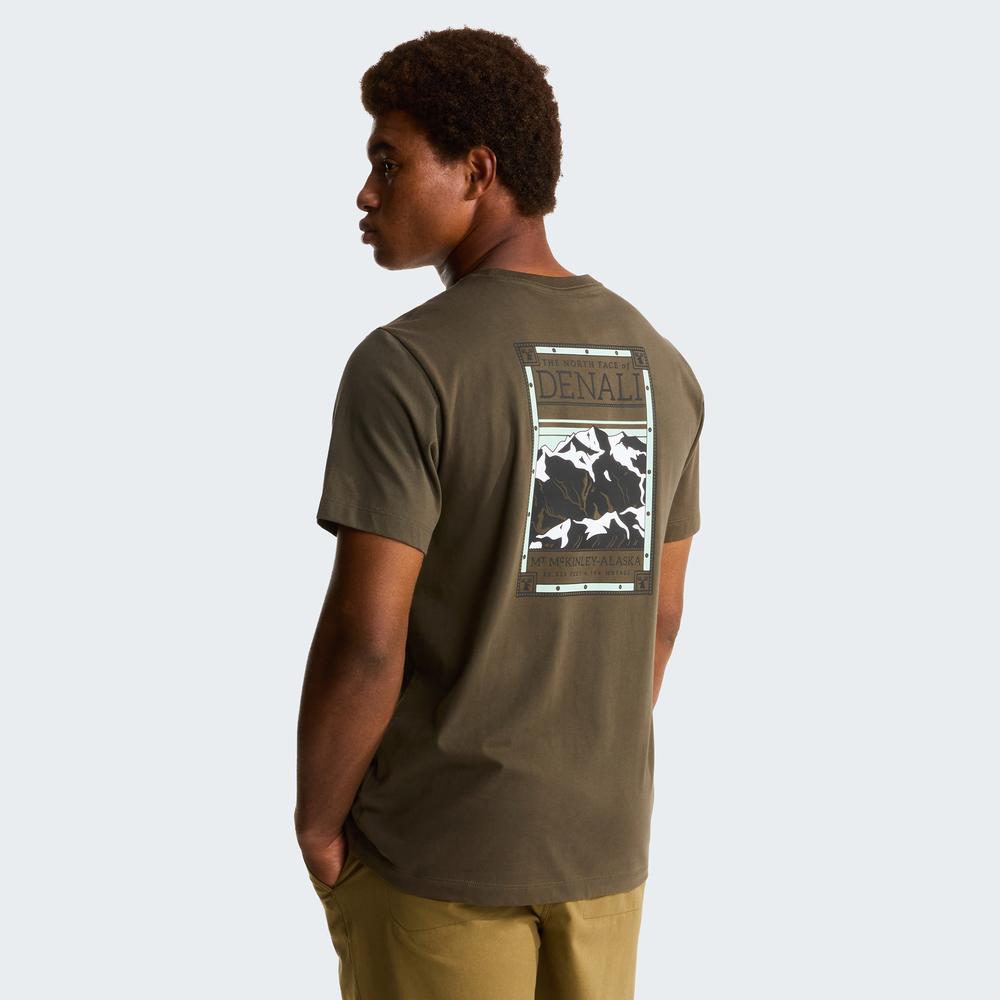 Koszulka męska The North Face Regular Short Graphic 0A8GUW21L1 - brązowa