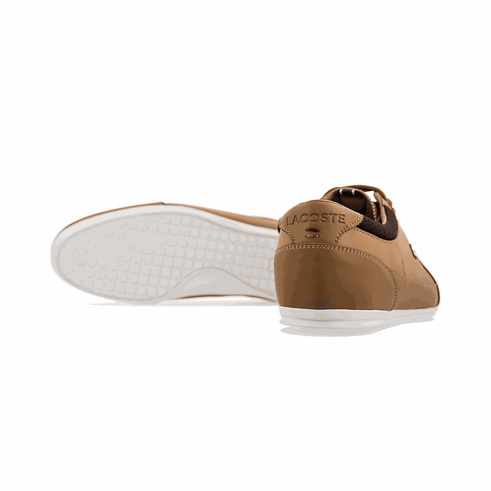 Lacoste Evara 118 1 - 735CAM00302B1