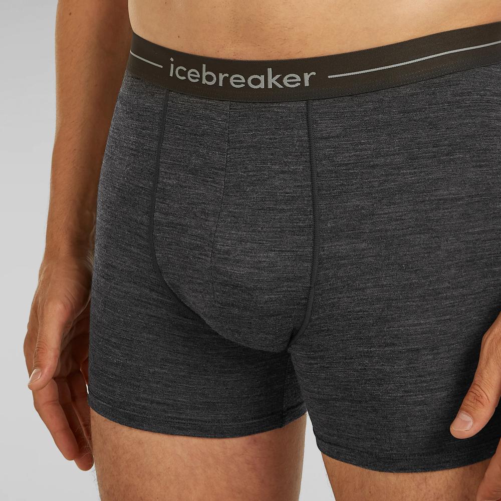 Bokserki Icebreaker Anatomica Boxers 1030290111 - szare