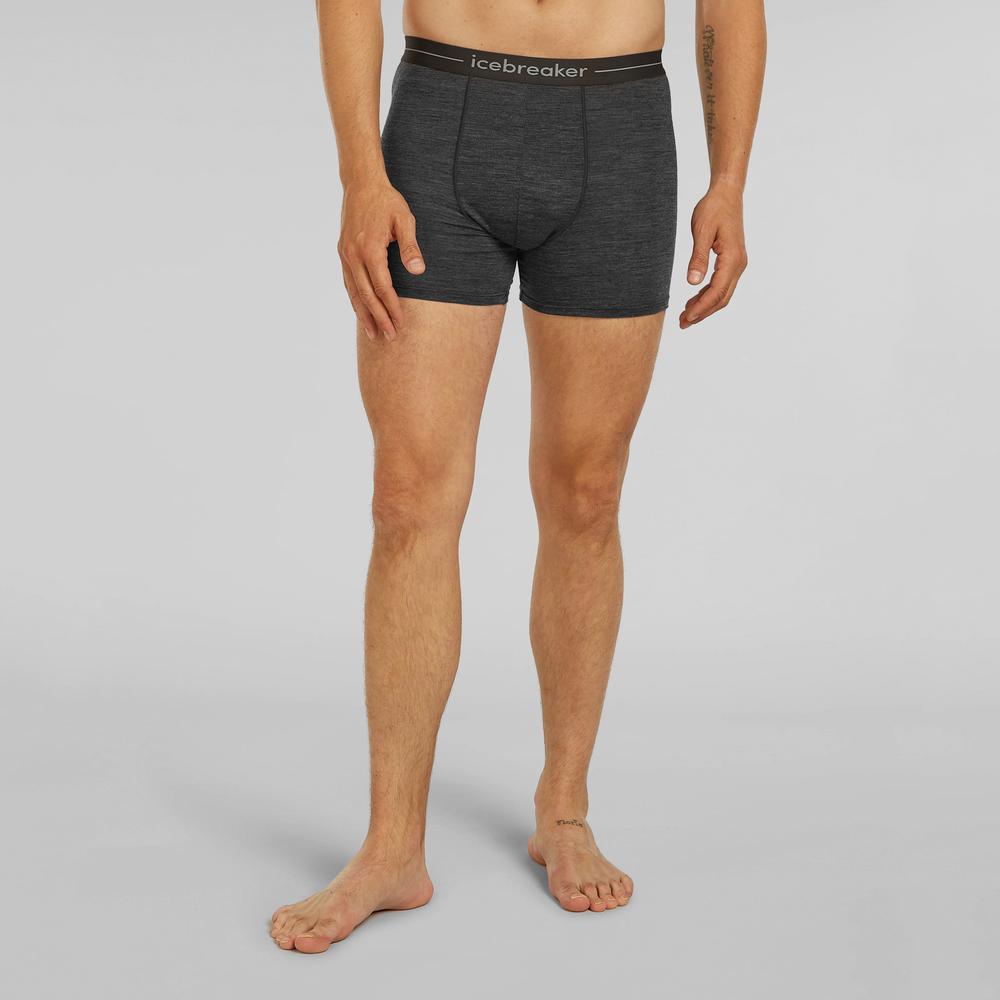 Bokserki Icebreaker Anatomica Boxers 1030290111 - szare